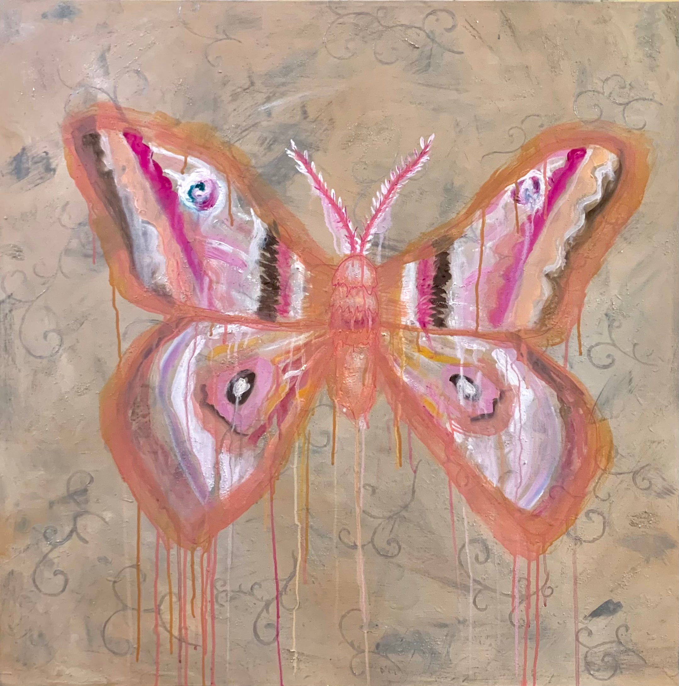 Moth Original